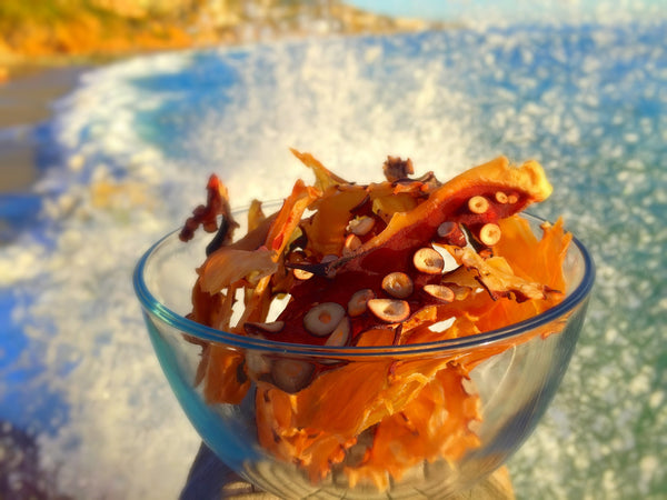Wild Madako Octopus Treats Wholesale